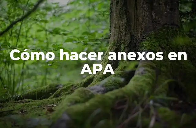 ¿Qué son los anexos en APA?