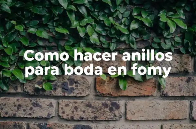Como Hacer Anillos para Boda en Fomy