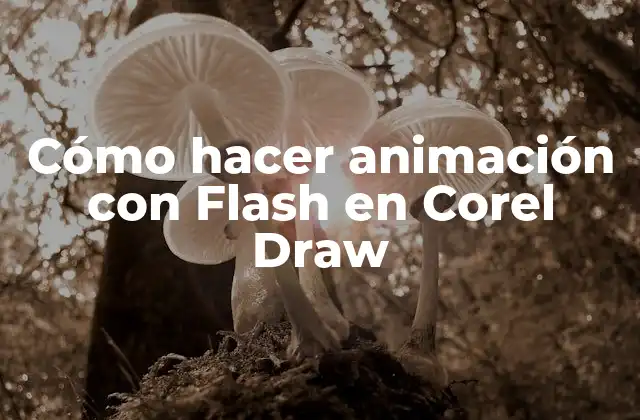Cómo Hacer Animación con Flash en Corel Draw