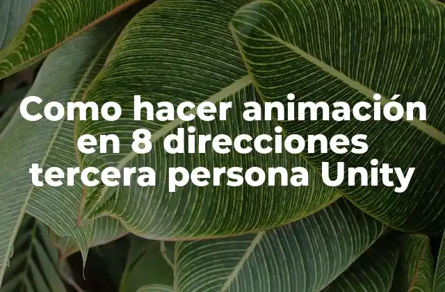 Como Hacer Animación en 8 Direcciones Tercera Persona Unity