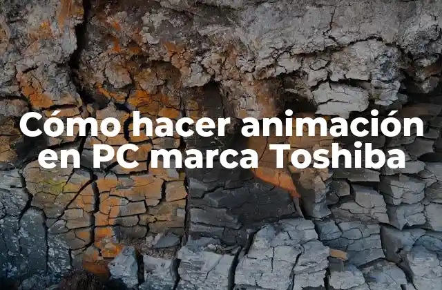Cómo Hacer Animación en Pc Marca Toshiba