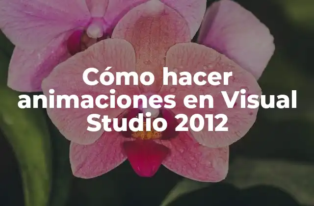 Cómo Hacer Animaciones en Visual Studio 2012