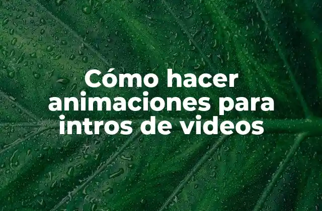 Cómo Hacer Animaciones para Intros de Videos 2 Cómo hacer animaciones para intros de videos