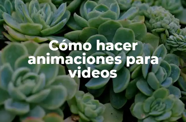 Cómo Hacer Animaciones para Videos