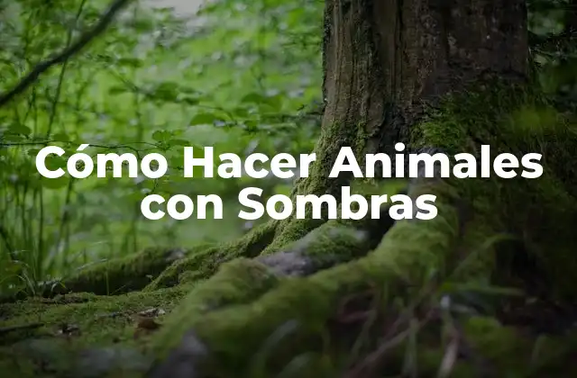 Cómo Hacer Animales con Sombras 2 Cómo Hacer Animales con Sombras