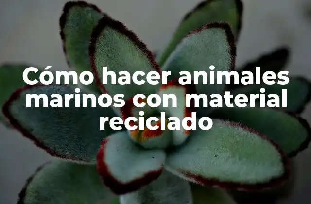 Cómo hacer animales marinos con material reciclado