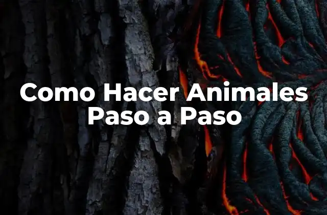 Como Hacer Animales Paso a Paso