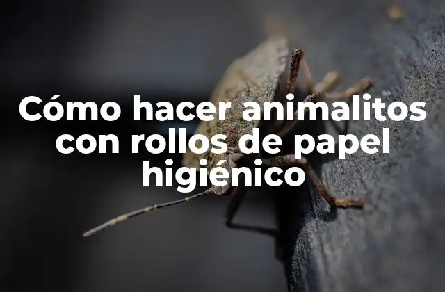 Cómo Hacer Animalitos con Rollos de Papel Higiénico