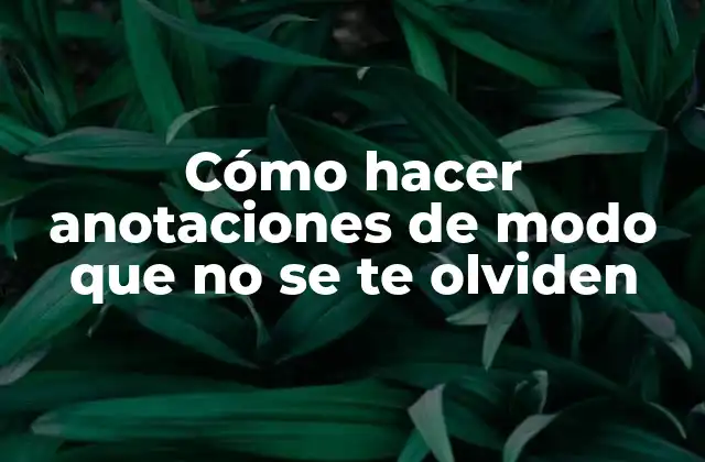 Cómo Hacer Anotaciones de Modo que No Se Te Olviden