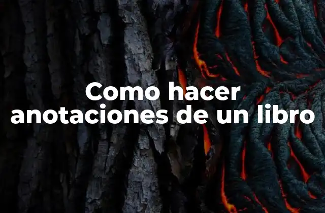 Como Hacer Anotaciones de un Libro