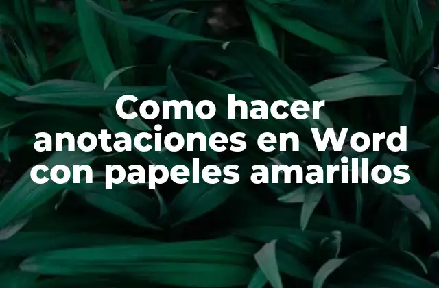 Como Hacer Anotaciones en Word con Papeles Amarillos