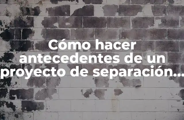 Cómo Hacer Antecedentes de un Proyecto de Separación Flash