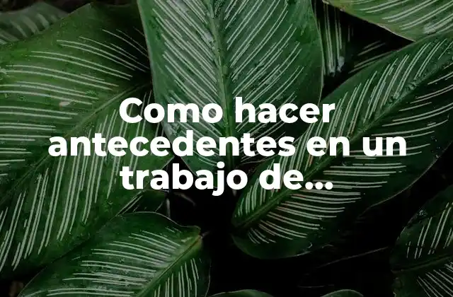 Como Hacer Antecedentes en un Trabajo de Investigación