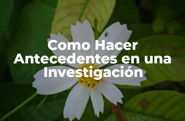 Como Hacer Antecedentes en una Investigación