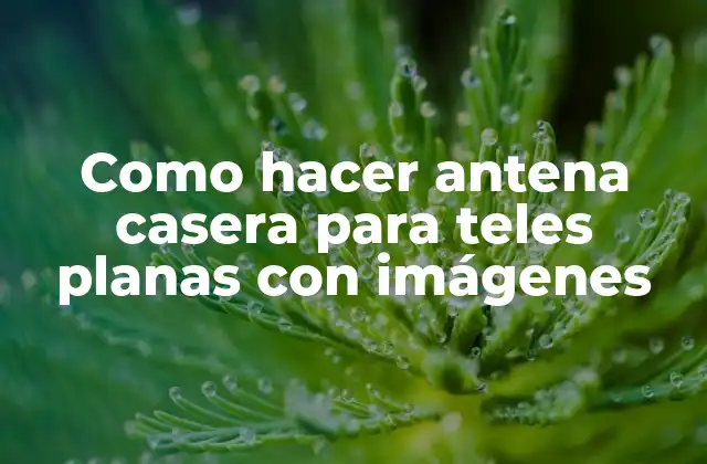 Como hacer antena casera para teles planas con imágenes