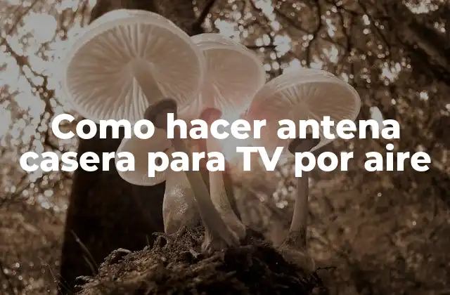 Como Hacer Antena Casera para Tv por Aire