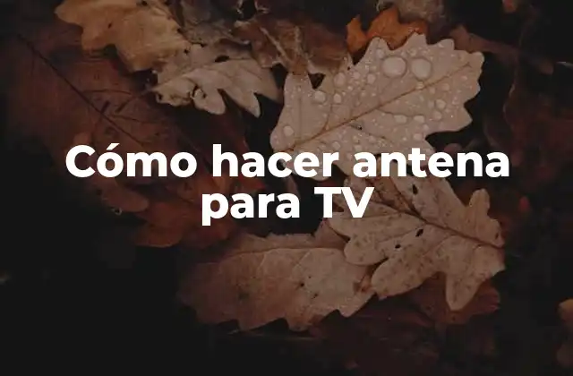 Cómo Hacer Antena para Tv