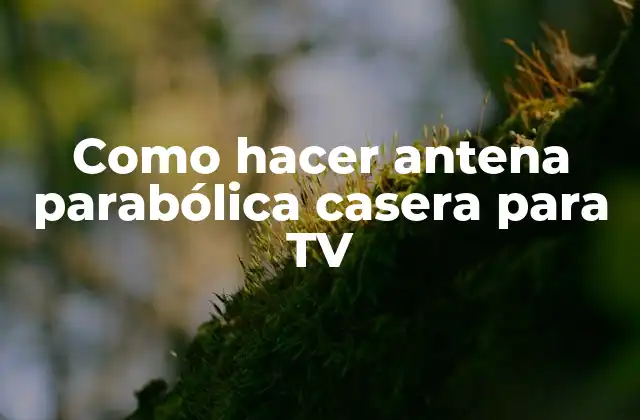 Como Hacer Antena Parabólica Casera para Tv