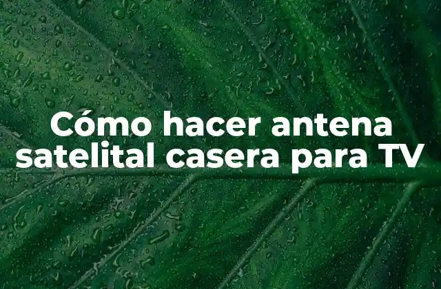 Cómo Hacer Antena Satelital Casera para Tv