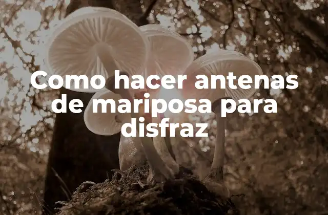 Como Hacer Antenas de Mariposa para Disfraz