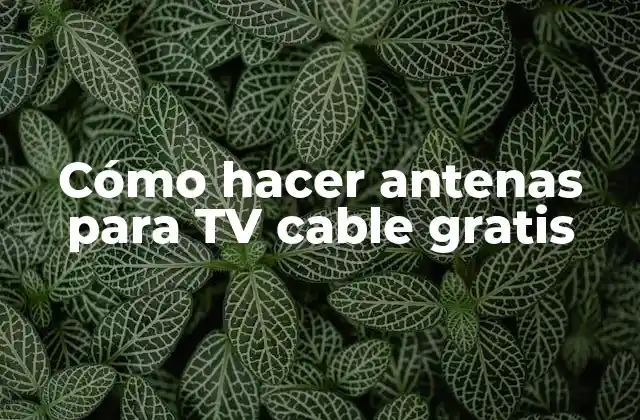 Cómo Hacer Antenas para Tv Cable Gratis