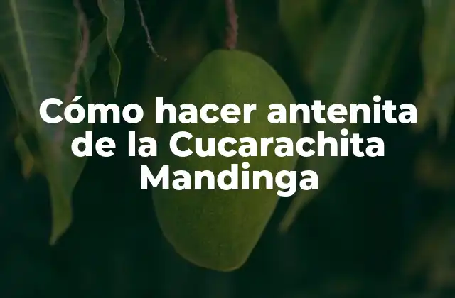 Cómo Hacer Antenita de la Cucarachita Mandinga