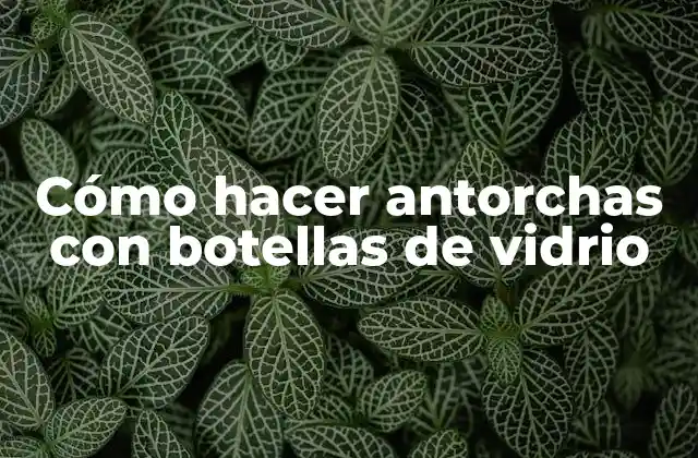 Cómo Hacer Antorchas con Botellas de Vidrio