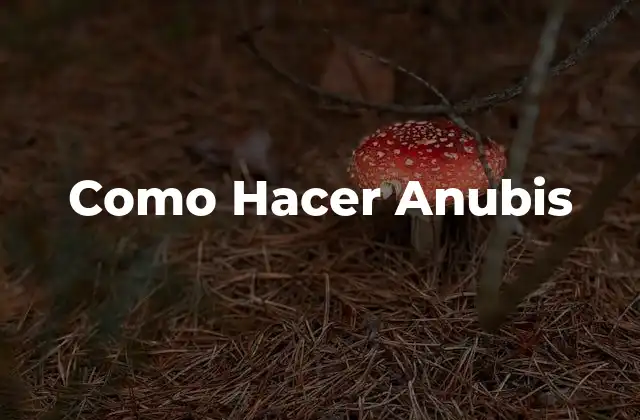 Como Hacer Anubis