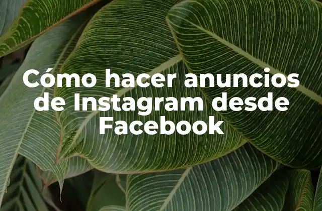 Cómo Hacer Anuncios de Instagram desde Facebook
