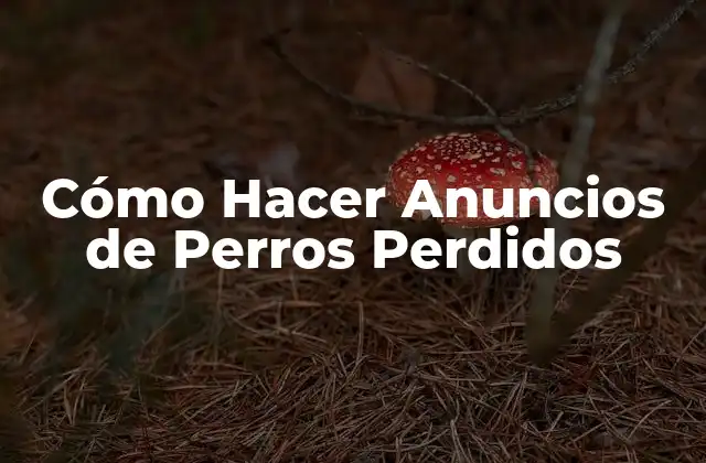 Cómo Hacer Anuncios de Perros Perdidos