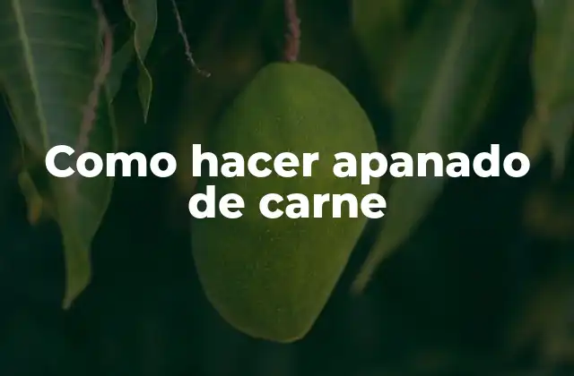 Como Hacer Apanado de Carne