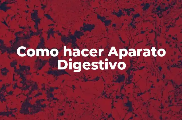 Como Hacer Aparato Digestivo 2 El Aparato Digestivo: ¿Qué es y para qué sirve?