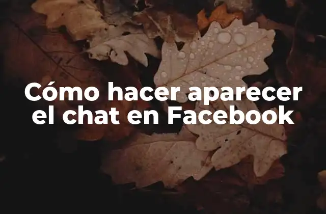 Cómo Hacer Aparecer el Chat en Facebook