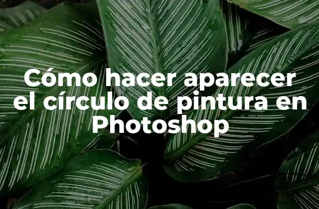 Cómo Hacer Aparecer el Círculo de Pintura en Photoshop
