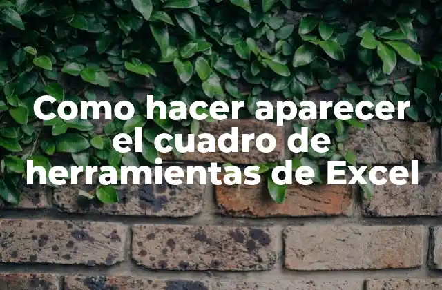 ¿Qué es el cuadro de herramientas de Excel?