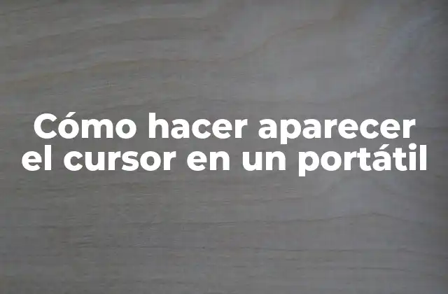 Cómo Hacer Aparecer el Cursor en un Portátil