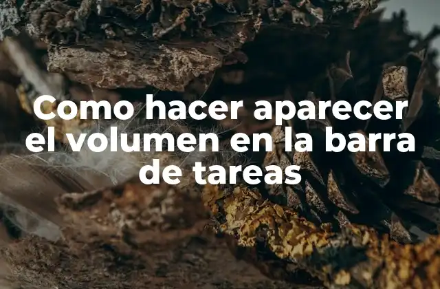 Como Hacer Aparecer el Volumen en la Barra de Tareas