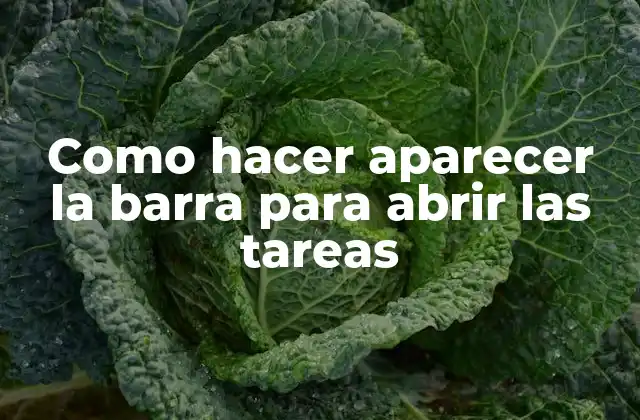 Como Hacer Aparecer la Barra para Abrir las Tareas