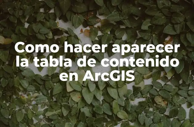 Como Hacer Aparecer la Tabla de Contenido en Arcgis