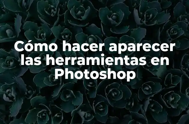 Cómo Hacer Aparecer las Herramientas en Photoshop