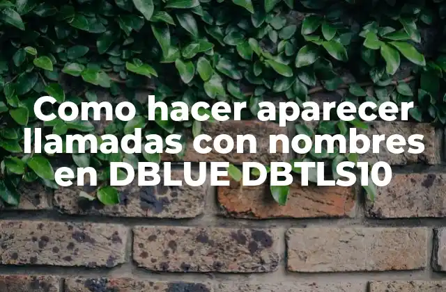 Como Hacer Aparecer Llamadas con Nombres en Dblue Dbtls10