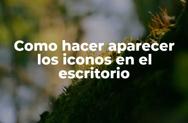 Como Hacer Aparecer los Iconos en el Escritorio