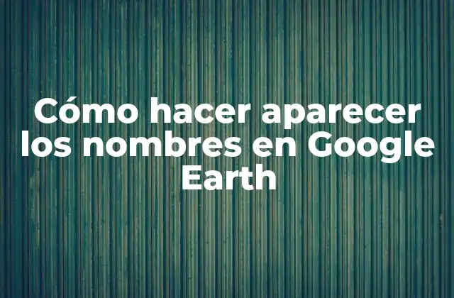 Cómo Hacer Aparecer los Nombres en Google Earth