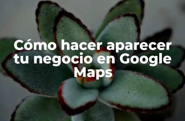 Cómo Hacer Aparecer Tu Negocio en Google Maps