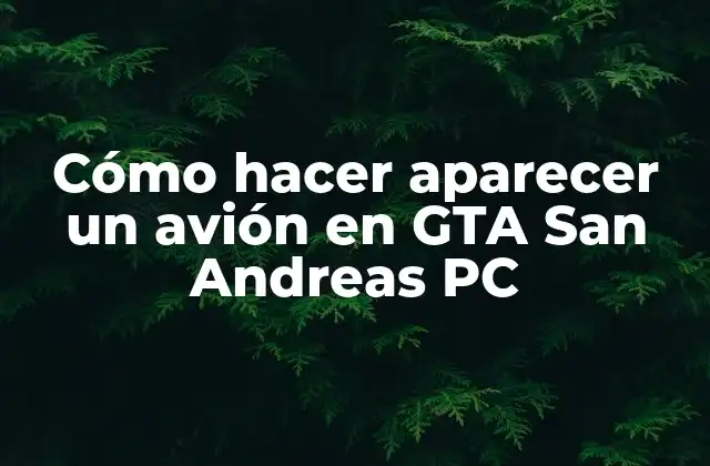 Cómo Hacer Aparecer un Avión en Gta San Andreas Pc