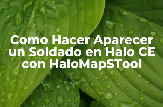 Como Hacer Aparecer un Soldado en Halo Ce con Halomapstool