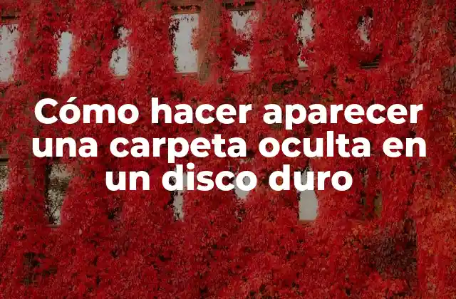 Cómo Hacer Aparecer una Carpeta Oculta en un Disco Duro