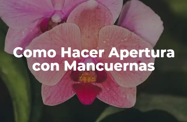 Como Hacer Apertura con Mancuernas
