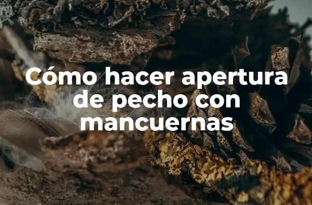 Cómo Hacer Apertura de Pecho con Mancuernas