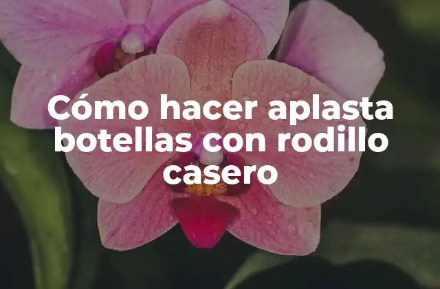 Cómo Hacer Aplasta Botellas con Rodillo Casero